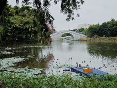 -映月湖公园