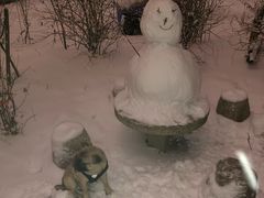 -吉林大学第二医院(自强院区)