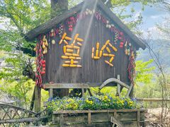 -婺源风景区