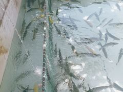 -钰田大院·怀柔地道农家菜·烤虹鳟鱼(雁栖湖店)