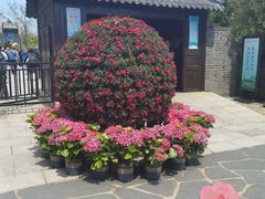 -蓬莱阁景区