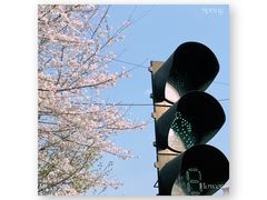 -杭州文化广播电视集团