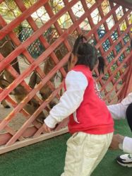 -萌宠亲子动物乐园(槐房万达店)