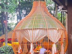 -二荆条·蜀鲜汇城市森林火锅