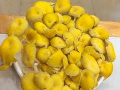 野生瑜黄菇-朴小妹人参鸡汤火锅(长白山万达店)