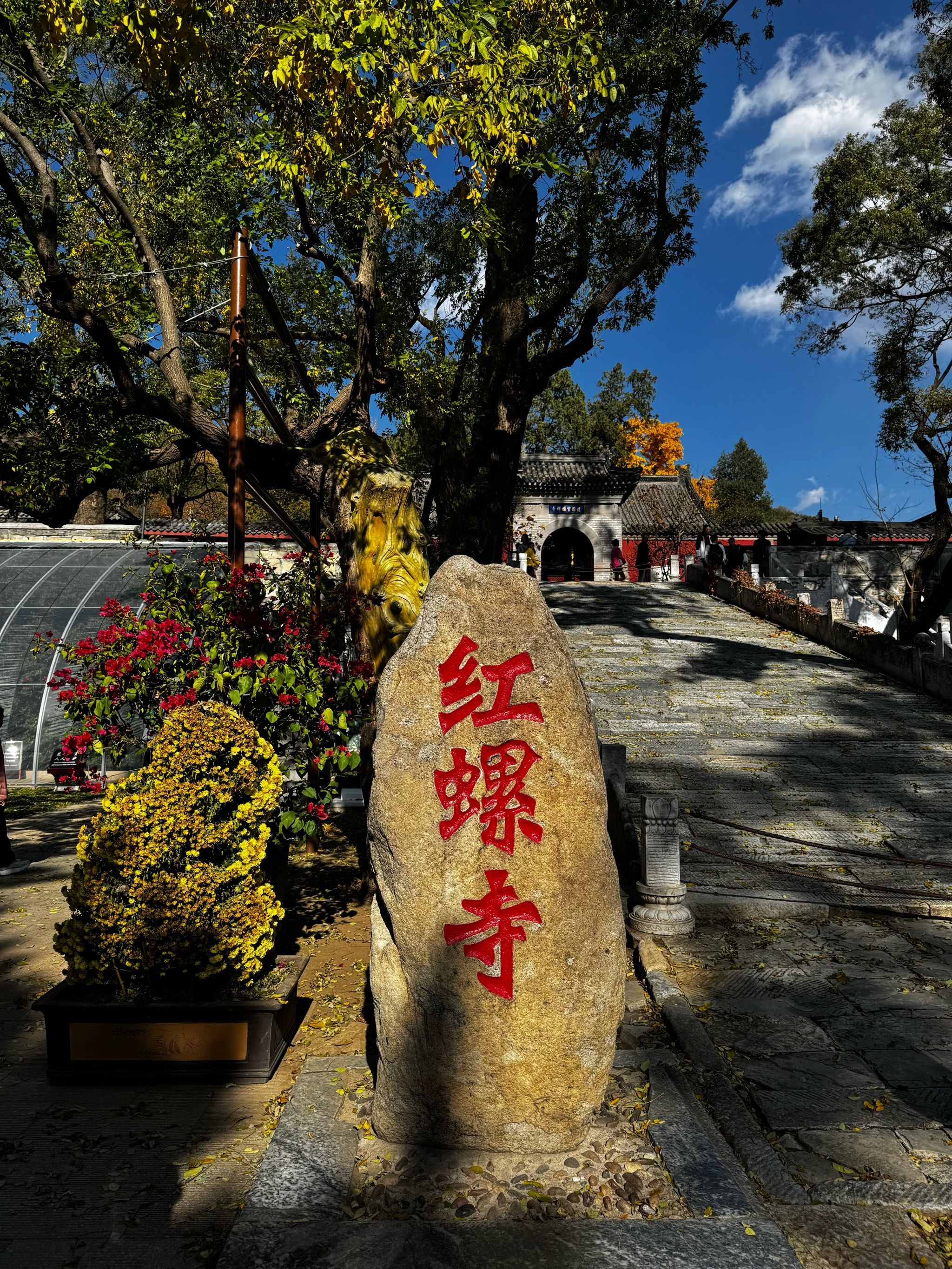 秋天打卡红螺寺,邂逅银杏梦幻金黄