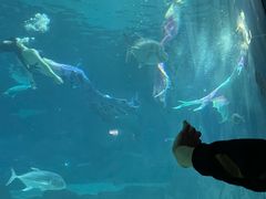 -福州罗源湾海洋世界旅游区