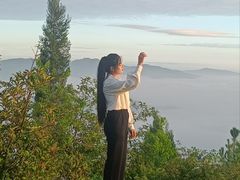 -长虫山生态公园风景林
