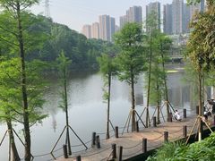 -重庆彩云湖湿地公园