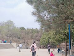 -阳台山自然风景区