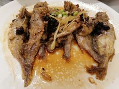-稻香酒家·33年老字号·港式粤菜(富邦中心店)