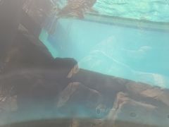 -望儿山温泉水乐园