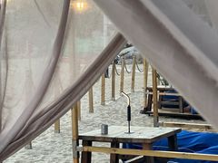 -精酿农场Brew Farm·沙漠绿洲餐厅
