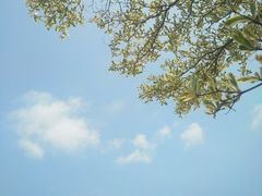 -大澳渔村及棚屋