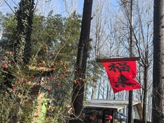 -林间山庄