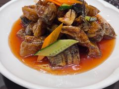 -燕春楼(海河华鼎店)