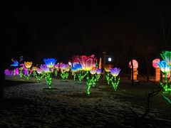 -洛阳市隋唐城遗址植物园