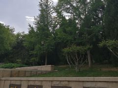 -玲珑塔公园