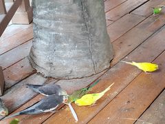 -南宫五洲植物乐园