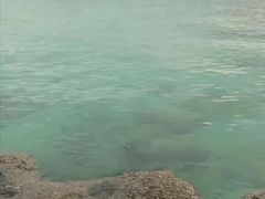 -白沙滩