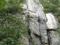 -王顺山国家森林公园