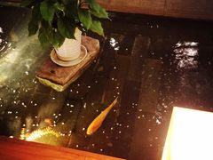松子日本料理(亮马桥店)-松子料理(亮马桥店)