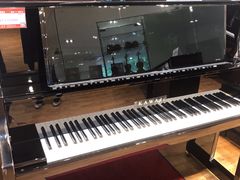 -柏斯琴行(汾阳店)