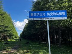 -空中草原