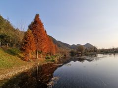 -贵阳市花溪国家城市湿地公园