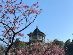 -无锡梅园公园