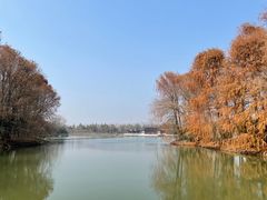 -上海海湾国家森林公园