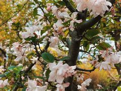 -上海交通大学(闵行校区)