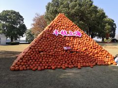 -上海月湖雕塑公园