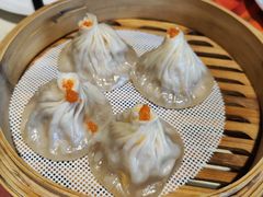 -点都德·毕德寮