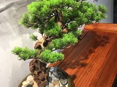 -小菜园新徽菜(溧阳万达店)