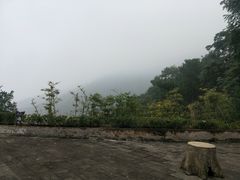 -铁山坪森林公园