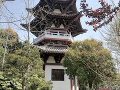 -武汉园博园(武汉自然博物馆)