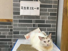 -蒋六十八梯眼镜面(狮子坪店)