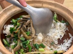 -蒸坊黄鳝饭(骏丰大厦店)