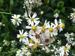 -会稽山峡洞漂流-上青古道