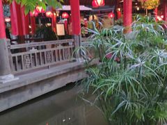 -河内西湖莲花自助餐厅