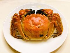 清蒸大闸蟹-广东胜利宾馆西关粤中餐厅