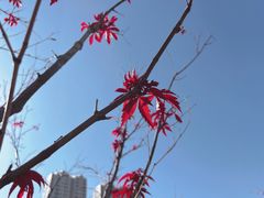 -宁波儿童公园(鄞州区)