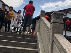 -召稼楼永茂昌粽子大王