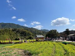-云水谣景区
