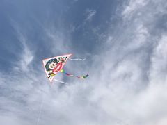 -琴岛之星摩天轮