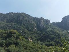 -大岭沟猕猴桃谷风景区
