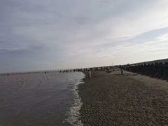 -南汇嘴观海公园