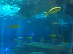 -福州罗源湾海洋世界旅游区