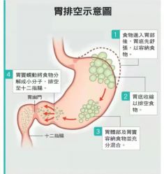 -香薇妮丝·定制减肥·身材管理